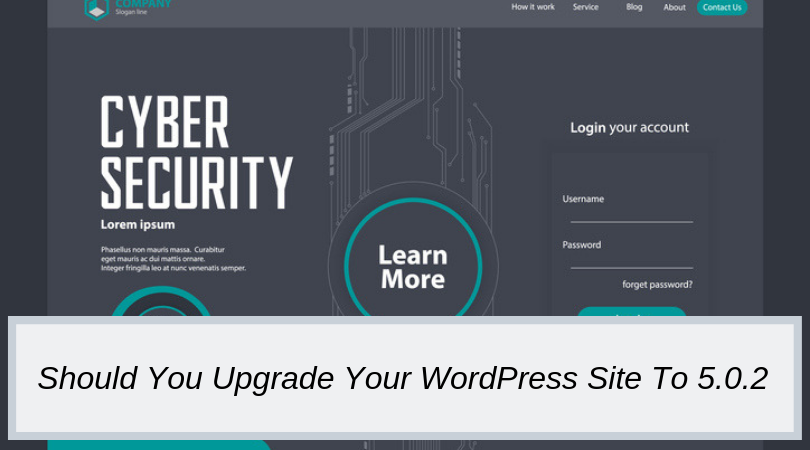 Should You Upgrade Your WordPress Site To 5.0.2
